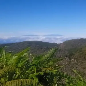https://amaore-paz-hogar-y-playa.in-canary-islands.com